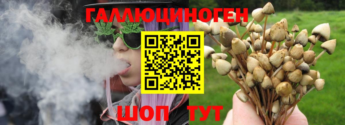 Галлюциногенные грибы мухоморы Фрязино